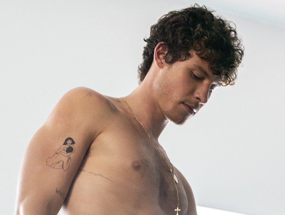 Shawn Mendes: livre para ser ele mesmo 2 IMG 20241015 WA0058